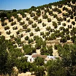 Valle De Oro 4*