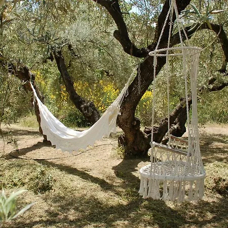 Valle De Oro Villanueva De Algaidas