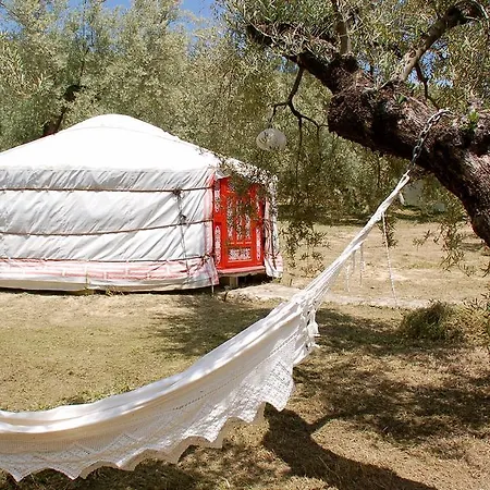 Valle De Oro Villanueva De Algaidas